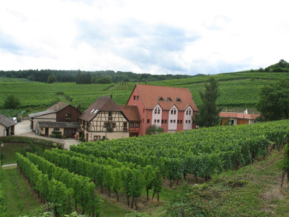 Studio Chez Le Vigneron Hunawihr Zewnętrze zdjęcie